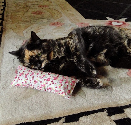 5  легальных способов сделать так, чтобы ваш кот оказался «под кайфом»